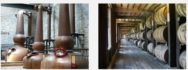 Evan Williams